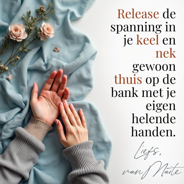 Thumbnail of p-dqzk7lwdnib-af993b67a6ca47c1 0