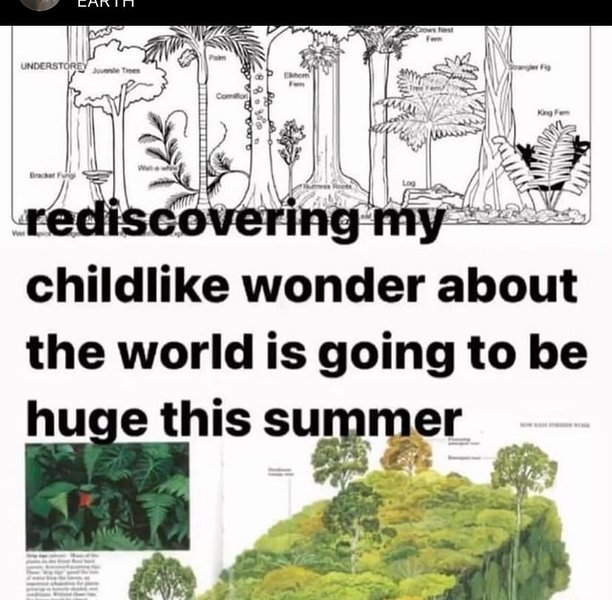 Thumbnail of p-c77pd3kohcx-afc5075d32e0447c 4