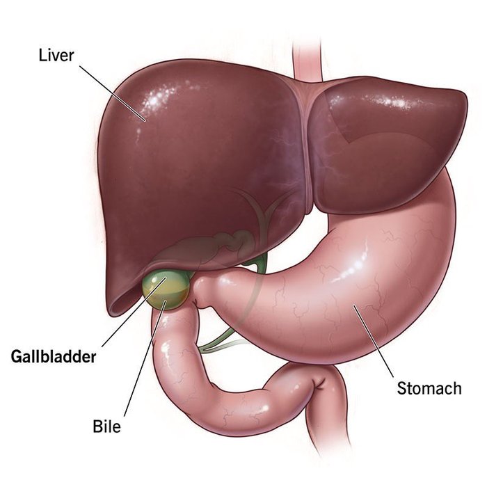 Thumbnail of www-x-com-natelawrence-status-1768803295185850666-b000efcd065f461b