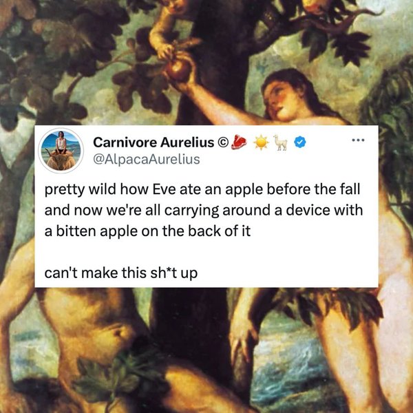 Thumbnail of p-c90oa0tuz3h-b02da2b0b681437b 4