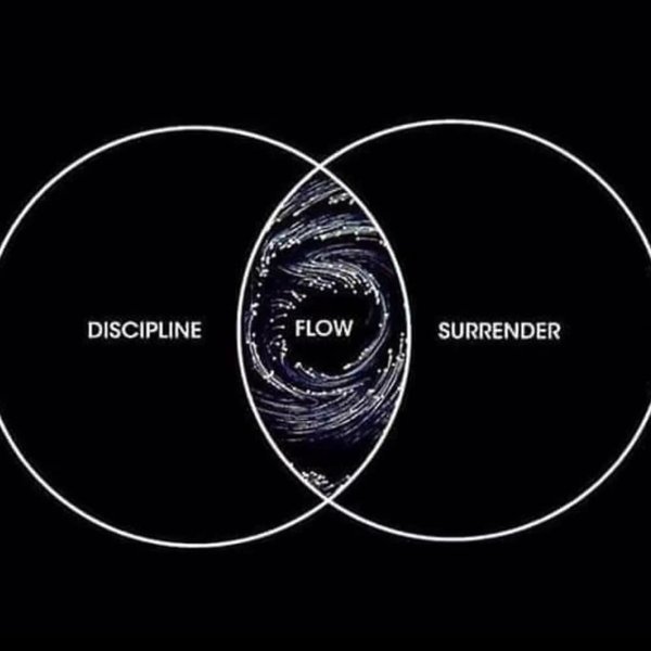 Thumbnail of p-c2qudpalrgz-b07bafdf269a4ae5 0