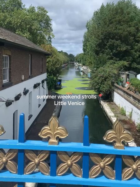 Thumbnail of dms1uwgo-yz-b0a6ed887a7a4a05 7