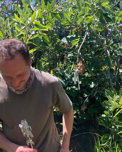 Thumbnail of c-svwfnpgk-b0dea403233c4f0d 9