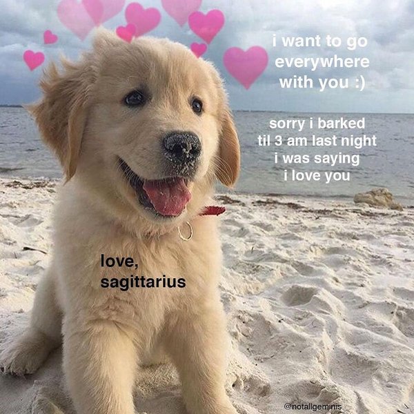 Thumbnail of p-bueq4pynjhh-b1b0468e952044d7 0