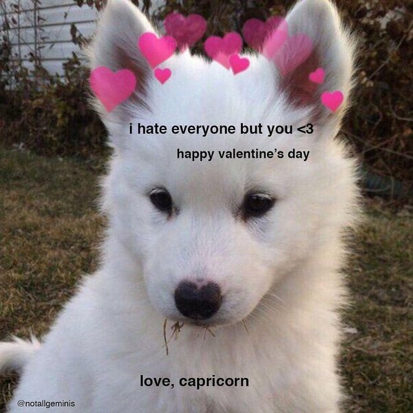 Thumbnail of p-bueq4pynjhh-b1b0468e952044d7 1