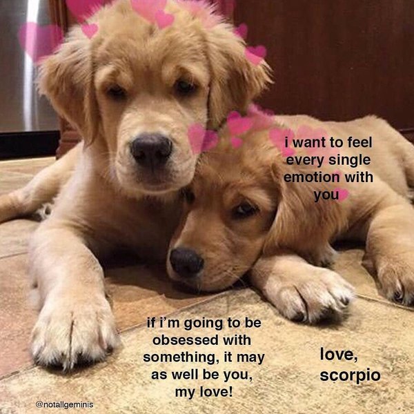 Thumbnail of p-bueq4pynjhh-b1b0468e952044d7 2