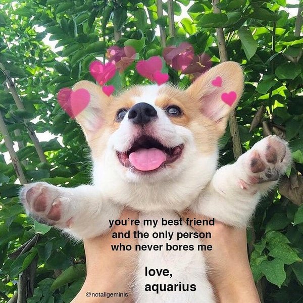 Thumbnail of p-bueq4pynjhh-b1b0468e952044d7 3