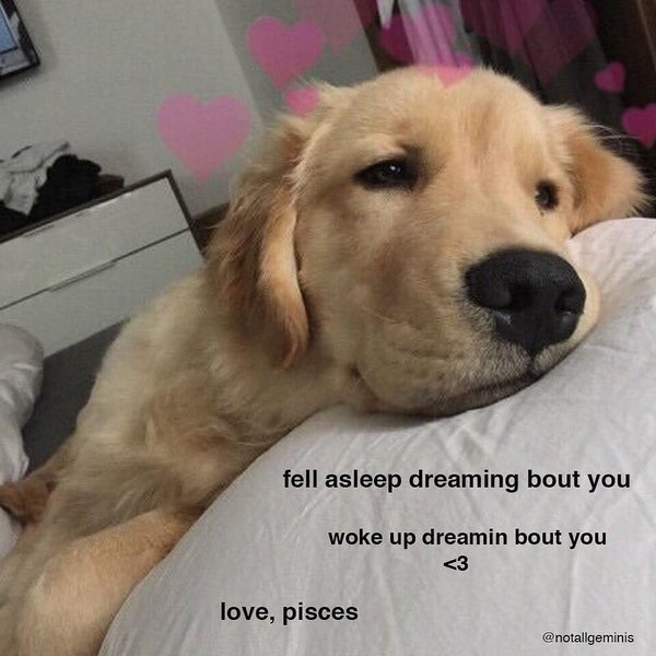 Thumbnail of p-bueq4pynjhh-b1b0468e952044d7 4