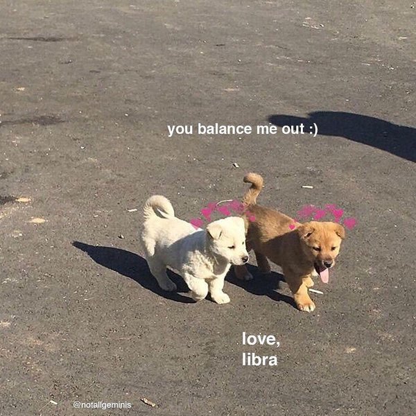 Thumbnail of p-bueq4pynjhh-b1b0468e952044d7 5