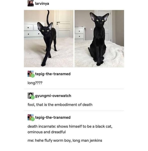 Thumbnail of p-b0zmrwcgnbn-b1d60dee9c4b4164 0