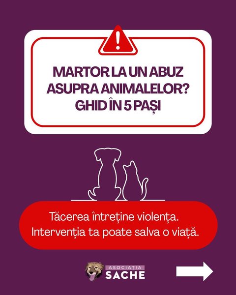 Thumbnail of p-dqmmo09ewbe-b1f0e7273e8742cd 0