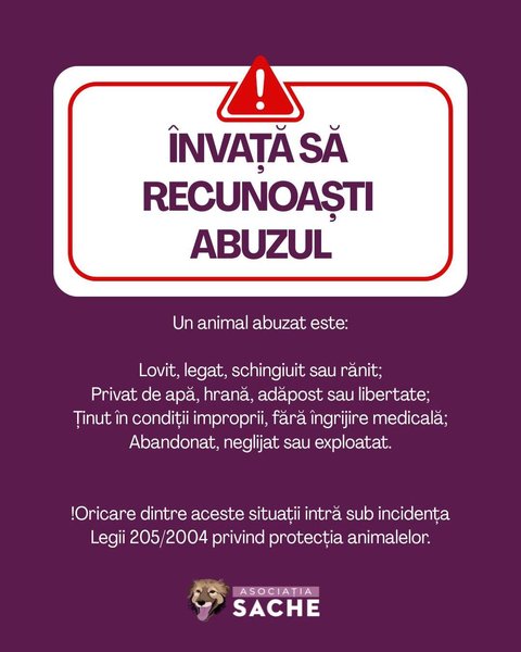 Thumbnail of p-dqmmo09ewbe-b1f0e7273e8742cd 1