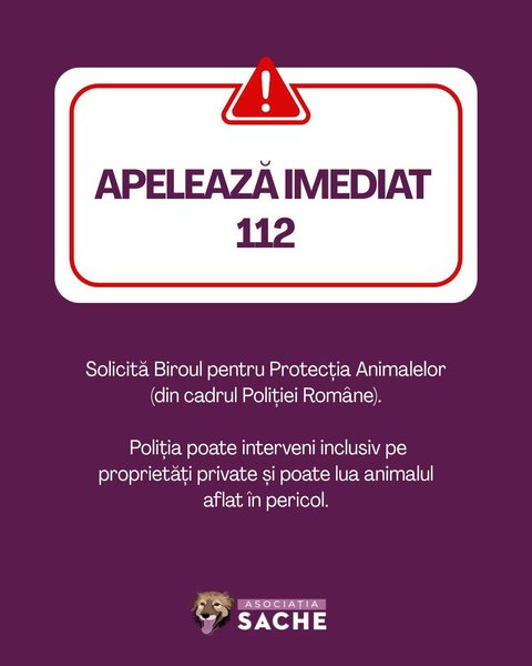 Thumbnail of p-dqmmo09ewbe-b1f0e7273e8742cd 2