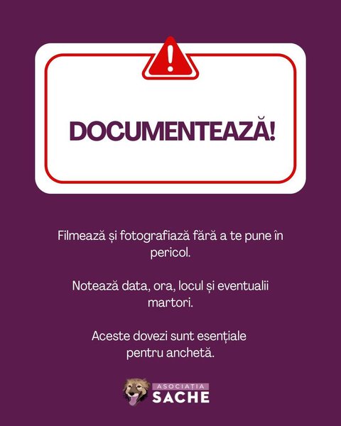 Thumbnail of p-dqmmo09ewbe-b1f0e7273e8742cd 3