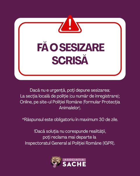 Thumbnail of p-dqmmo09ewbe-b1f0e7273e8742cd 4