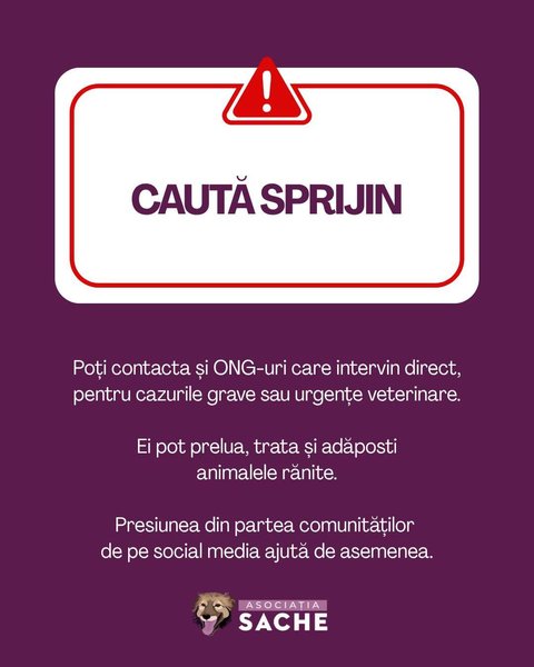 Thumbnail of p-dqmmo09ewbe-b1f0e7273e8742cd 5