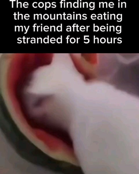 Thumbnail of p-c7slqelbk6e-b2232c94d4204a1e 0