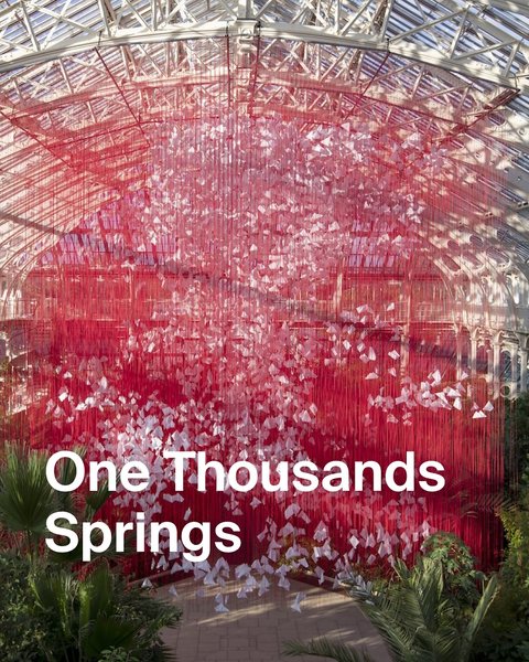 Thumbnail of p-dbwc0m2szeh-b23e4ed4f53f4a4c 4