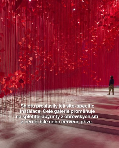 Thumbnail of p-dbwc0m2szeh-b23e4ed4f53f4a4c 5