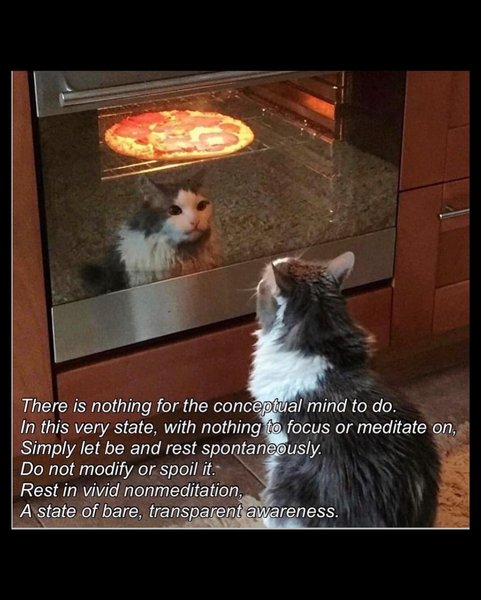 Thumbnail of cshgu-cun1o-b24bfb4bfcb04b0f 8