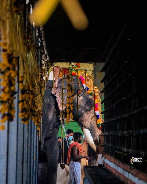 Thumbnail of p-cumg3k2bqaj-b2758d93b09342f4 0