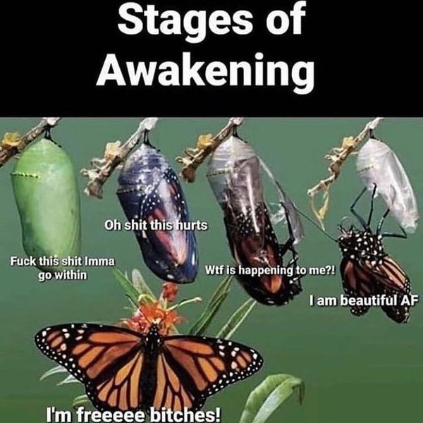 Thumbnail of p-cxowwpml7nq-b28024ec7e0446f9 6