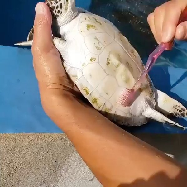 Thumbnail of p-cxowwpml7nq-b28024ec7e0446f9 7