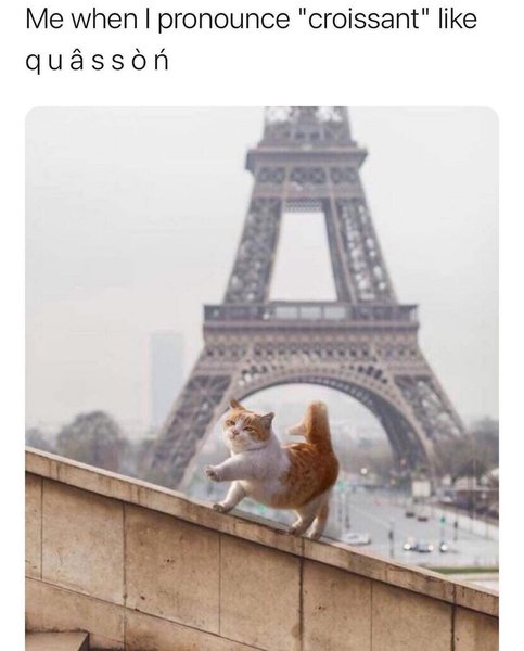 Thumbnail of p-cqu9bwbjlob-b2d5544099404411 0