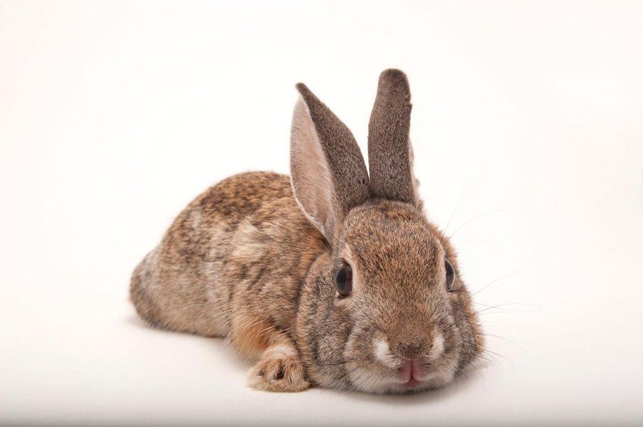 Thumbnail of p-cfmpvt1hyhb-b2d8f979653d43e5 0