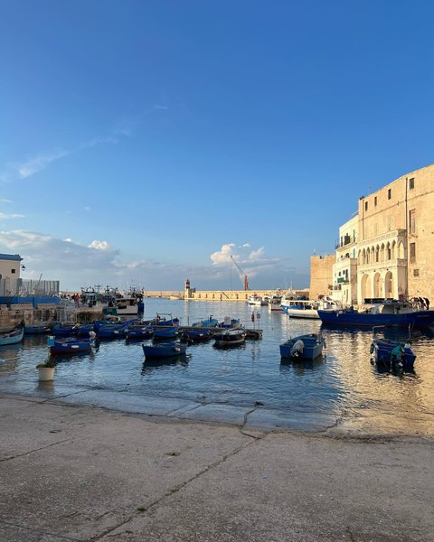 Thumbnail of p-crsmwtzgwda-b2de9c423aa7430d 8