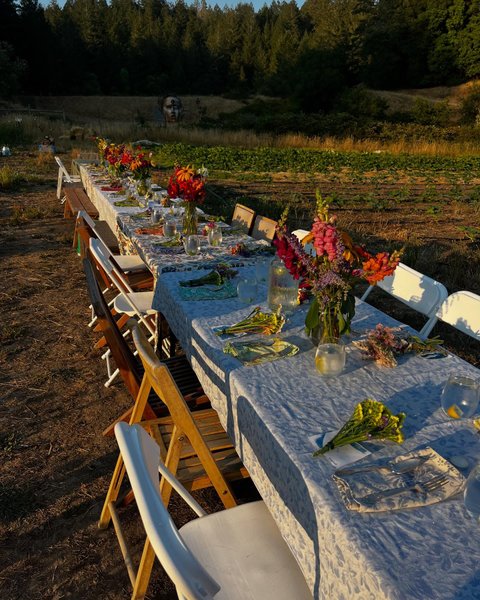 Thumbnail of p-dmdrqlyv6yn-b2f2bac841684d05 0