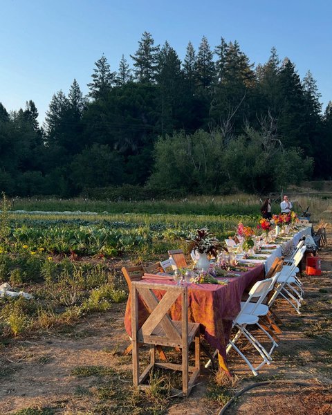 Thumbnail of p-dmdrqlyv6yn-b2f2bac841684d05 1