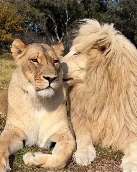 Thumbnail of c2qc9h-insv-b30d0d46ecbd4c55 0