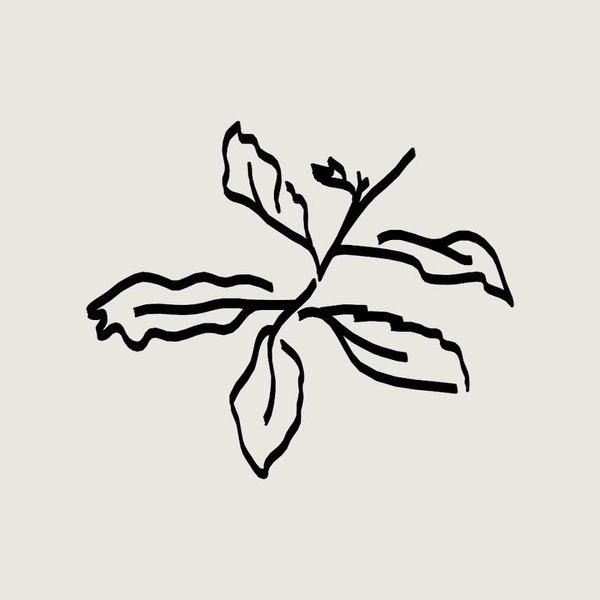 Thumbnail of p-delzs7sctja-b317962c3bd14bd8 4