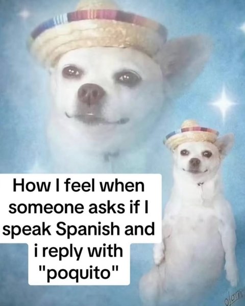 Thumbnail of p-djzcxblmcab-b363def23a864d1b 0