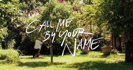 Thumbnail of www-x-com-visionsinfilm-status-1866507533596127603-b371c92bfdb944ba