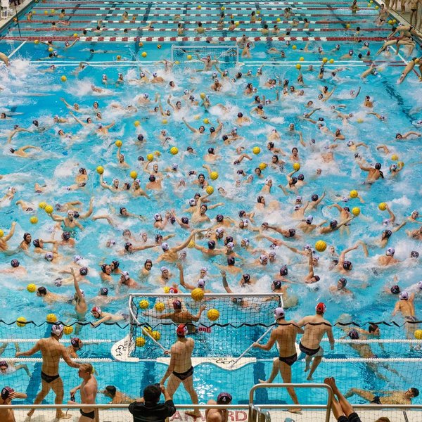 Thumbnail of p-b3aapnygoph-b394a4744f4e4d19 0