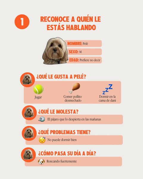 Thumbnail of p-cxqdn0krkql-b3cc9ada55e046c6 1