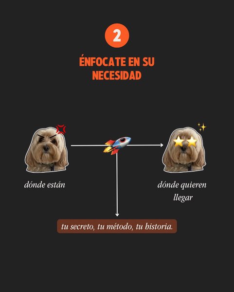 Thumbnail of p-cxqdn0krkql-b3cc9ada55e046c6 2