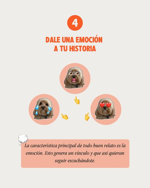 Thumbnail of p-cxqdn0krkql-b3cc9ada55e046c6 4