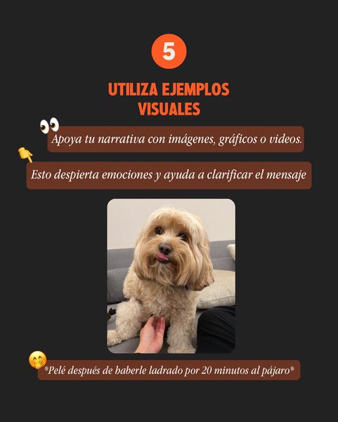 Thumbnail of p-cxqdn0krkql-b3cc9ada55e046c6 5