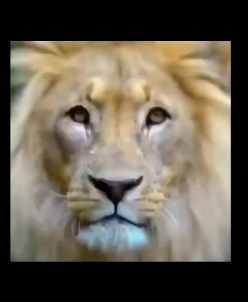 Thumbnail of dptr-i9drjh-b3d653784d154d11 15