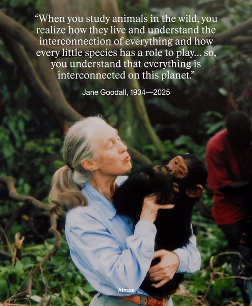 Thumbnail of dptr-i9drjh-b3d653784d154d11 16