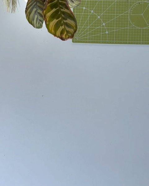 Thumbnail of p-c9jzv5zix69-b4181c1f7b1b4d9e 8