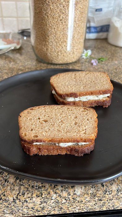 Thumbnail of www-x-com-jdnoc-status-1673729748298612743-b4911e07b09e4f7c