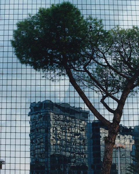 Thumbnail of p-czbkuowtqpr-b4affd0f7ceb4c93 1