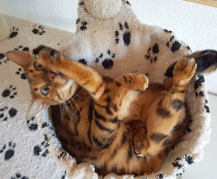 Thumbnail of p-bae3lzabvfs-b4d7f8940058449a 0