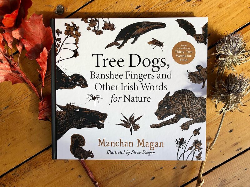 Thumbnail of cvvh-o2shmg-b4ed3bd550184156 0