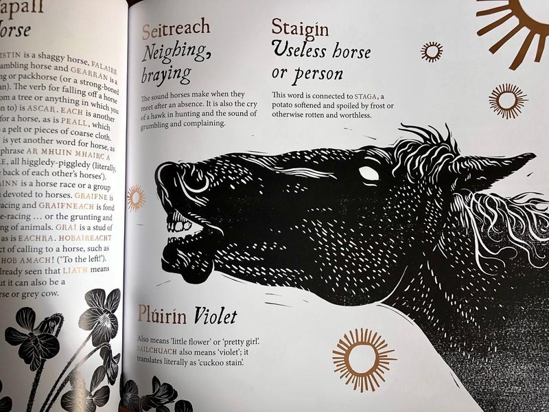 Thumbnail of cvvh-o2shmg-b4ed3bd550184156 1