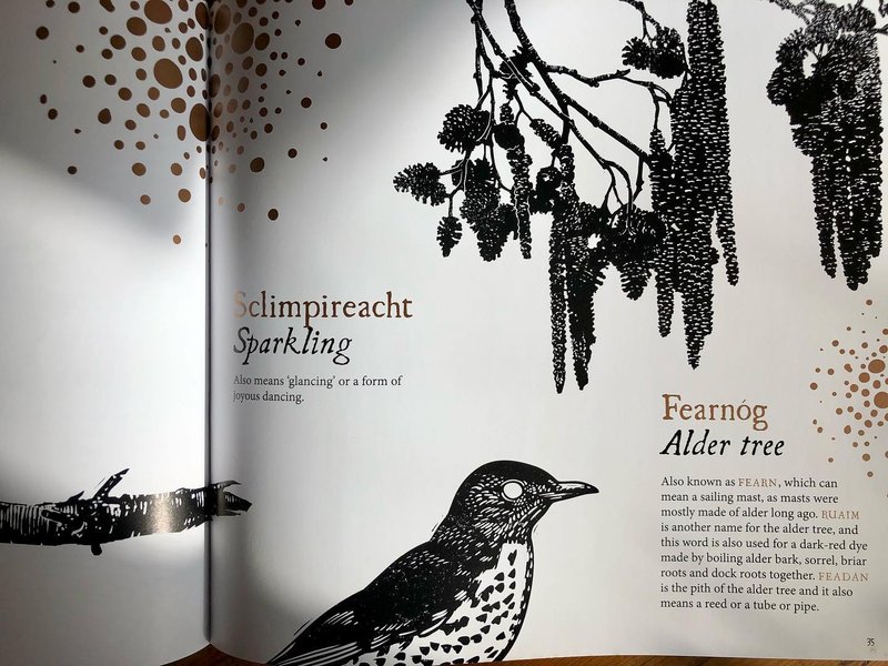 Thumbnail of cvvh-o2shmg-b4ed3bd550184156 2